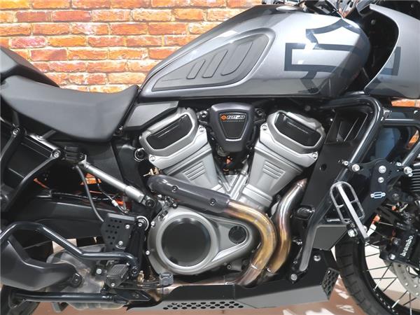 2022 Harley-Davidson RA1250S Pan America special