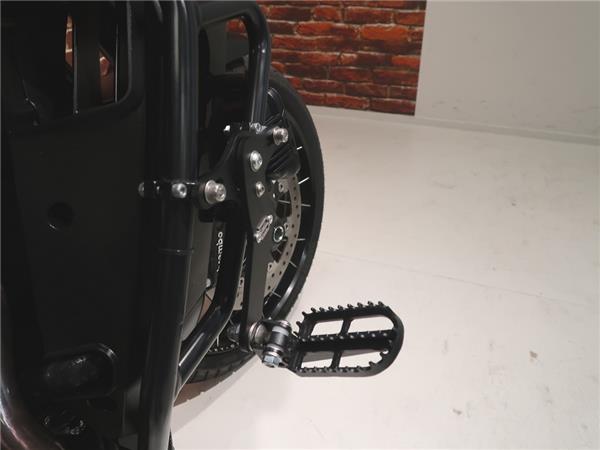 2022 Harley-Davidson RA1250S Pan America special