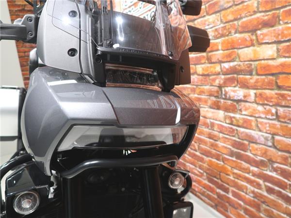 2022 Harley-Davidson RA1250S Pan America special