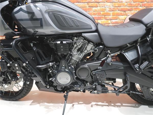 2022 Harley-Davidson RA1250S Pan America special