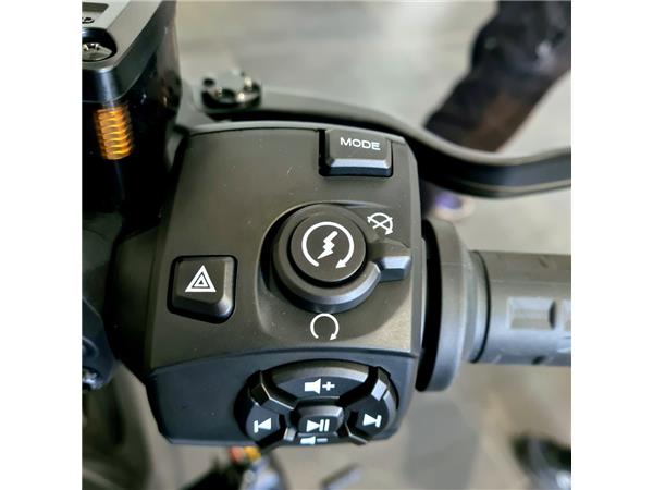 HARLEY-DAVIDSON SPORTSTER S 