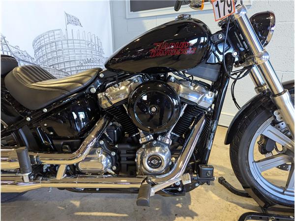 2024 HARLEY-DAVIDSON STANDARD