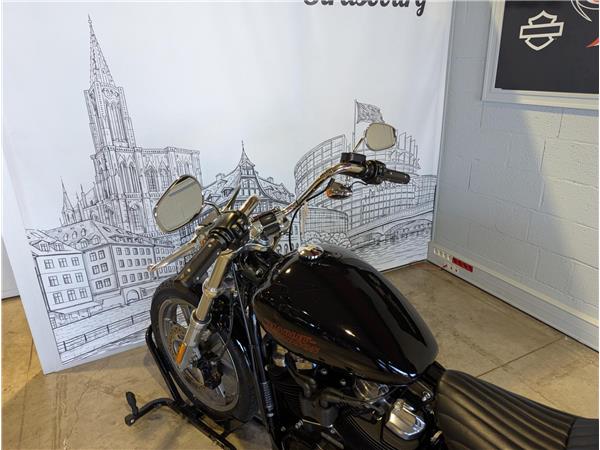 2024 HARLEY-DAVIDSON STANDARD