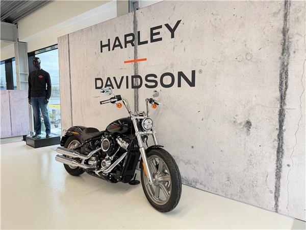 2025 harley-davidson FXST Softail Standard 107