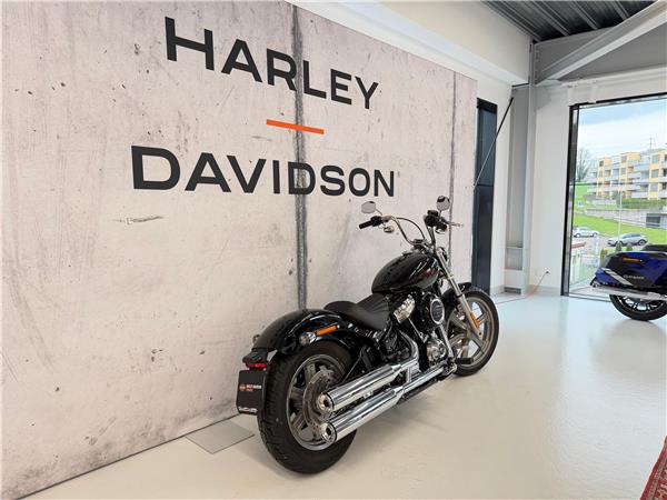 2025 harley-davidson FXST Softail Standard 107