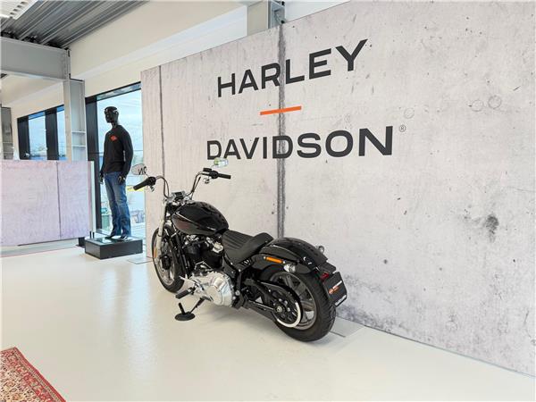 2025 harley-davidson FXST Softail Standard 107