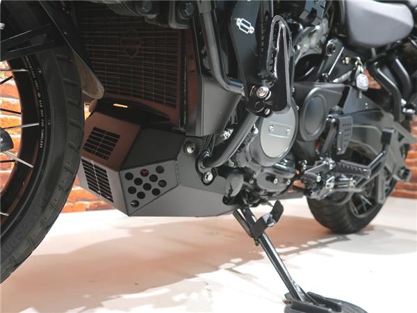 2022 Harley-Davidson RA1250S Pan America special