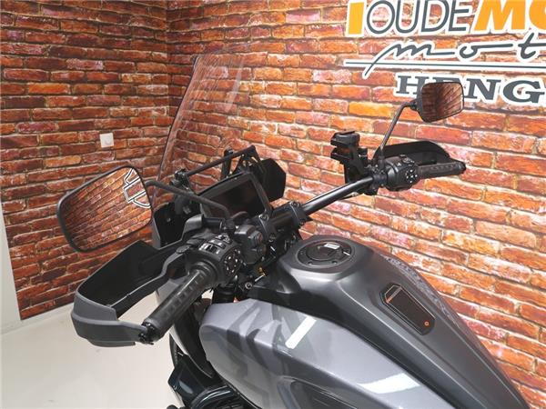 2022 Harley-Davidson RA1250S Pan America special