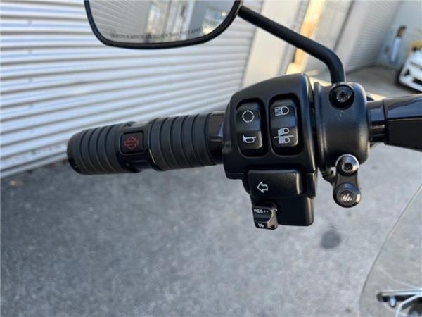 2019 Harley-Davidson Softail Fat Boy 114 FLFBS