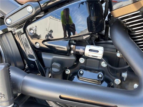 2020 Harley-Davidson Fat Boy 30th Anniversary