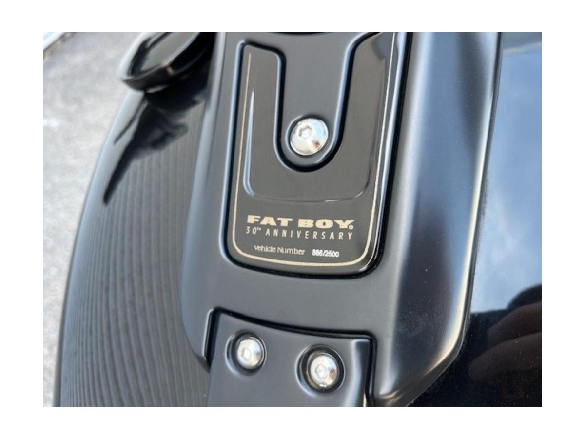 2020 Harley-Davidson Fat Boy 30th Anniversary