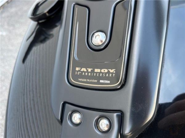 2020 Harley-Davidson Fat Boy 30th Anniversary