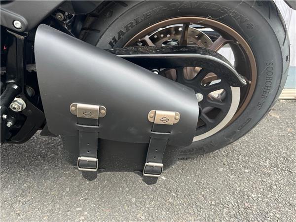 2024 HARLEY-DAVIDSON LOW RIDER S