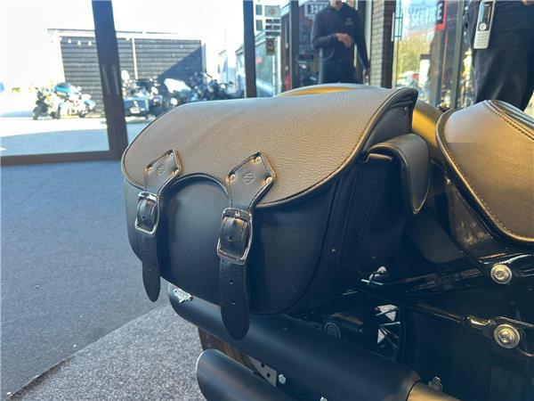2017 Harley-Davidson FLSS Softail Slim S