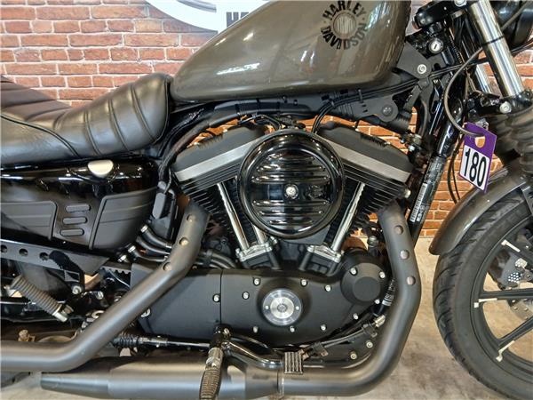 2019 HARLEY-DAVIDSON SPORTSTER 883