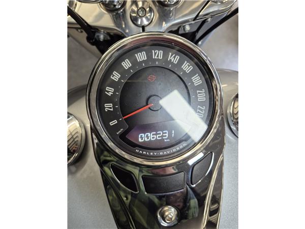 2019 HARLEY-DAVIDSON DELUXE