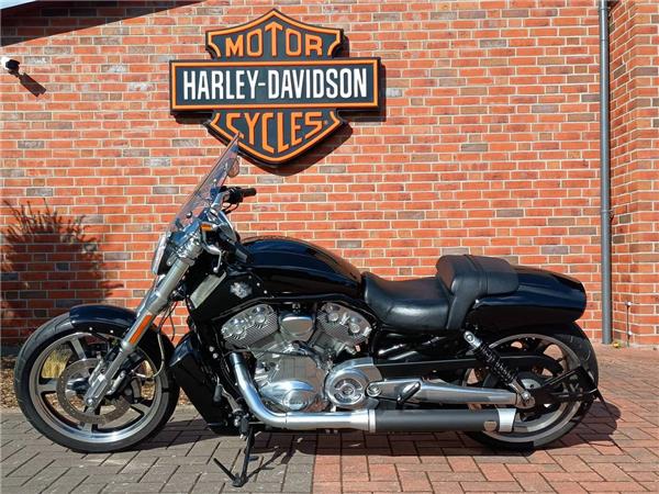 V-ROD VRSCF MUSCLE 