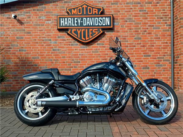 V-ROD VRSCF MUSCLE 