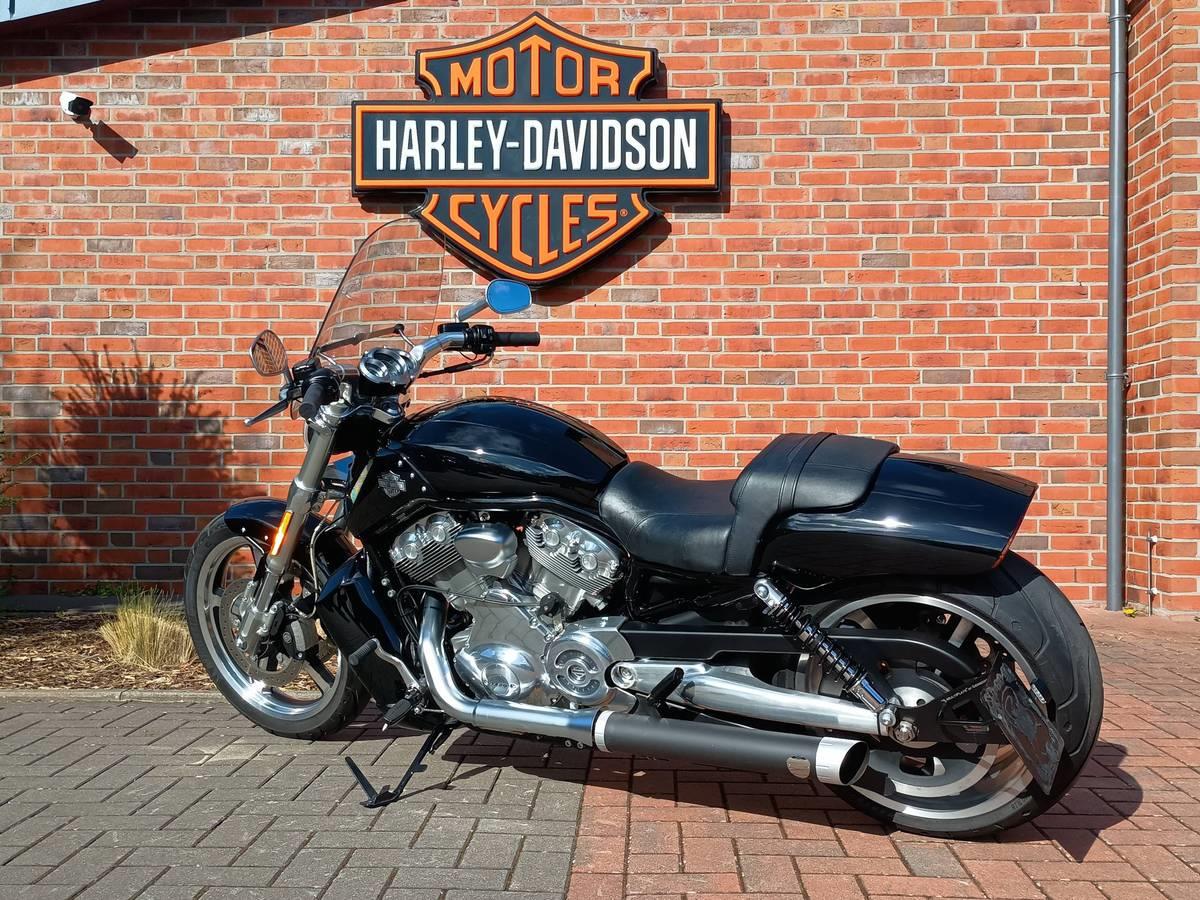 V-ROD VRSCF MUSCLE 