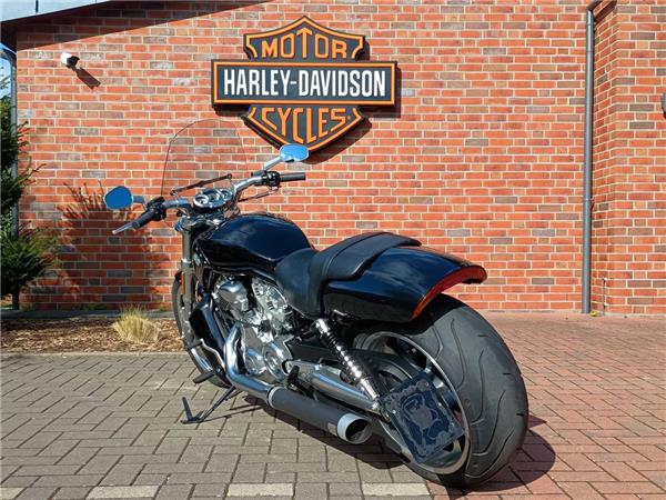V-ROD VRSCF MUSCLE 