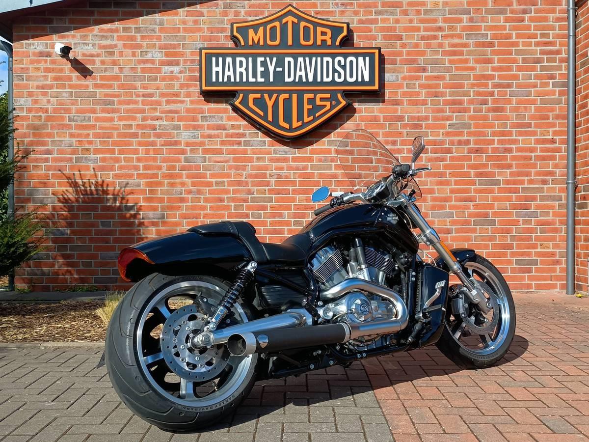 V-ROD VRSCF MUSCLE 