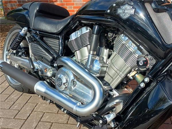 V-ROD VRSCF MUSCLE 
