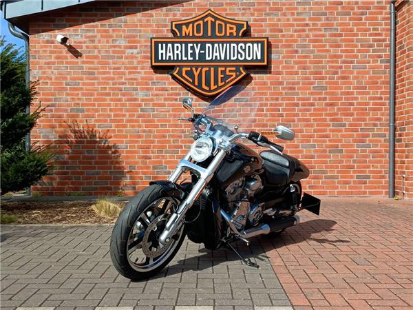 V-ROD VRSCF MUSCLE 