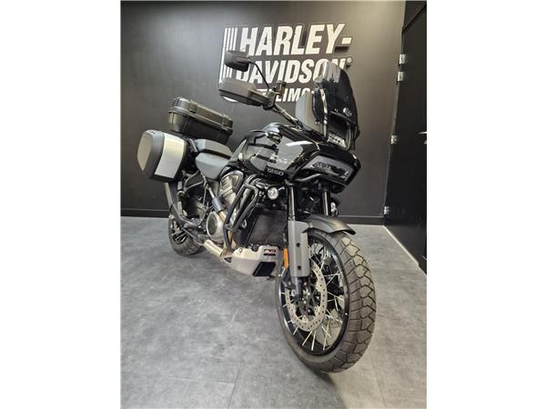 2025 HARLEY-DAVIDSON PAN AMERICA