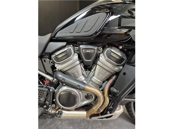 2025 HARLEY-DAVIDSON PAN AMERICA