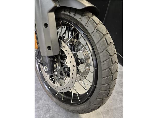 2025 HARLEY-DAVIDSON PAN AMERICA