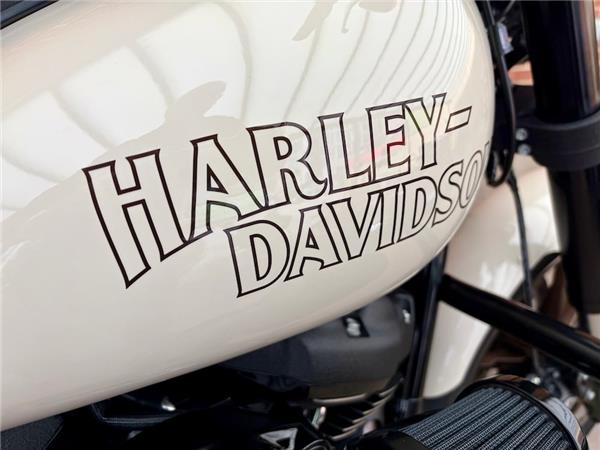 2023 HARLEY-DAVIDSON SOFTAIL FXLRS LOW RIDER S