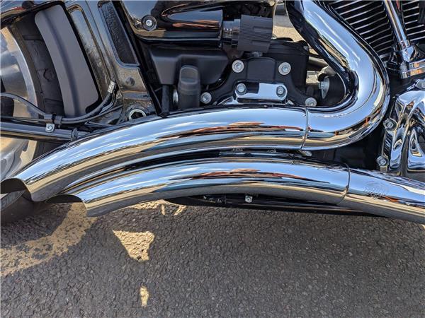 2021 Harley-Davidson Softail