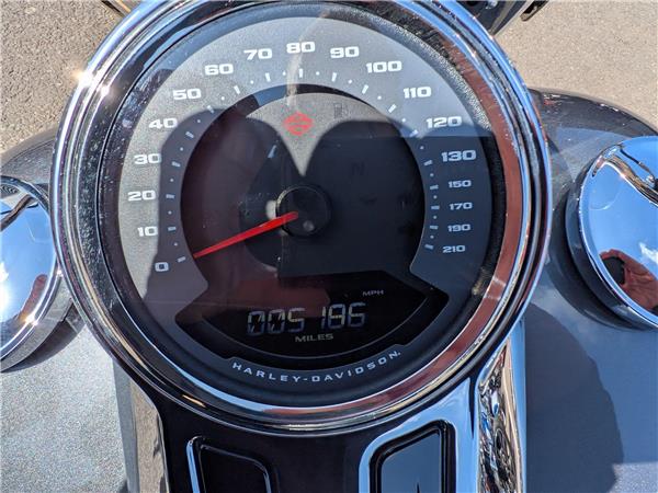 2021 Harley-Davidson Softail