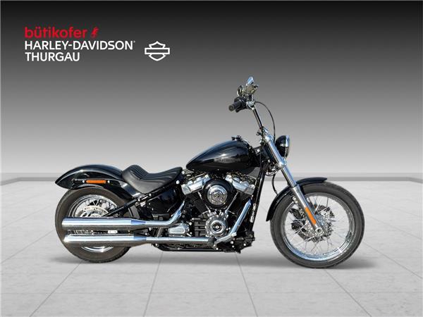 2021 harley-davidson FXST Softail Standard 107