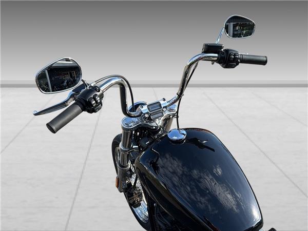 2021 harley-davidson FXST Softail Standard 107