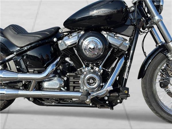 2021 harley-davidson FXST Softail Standard 107