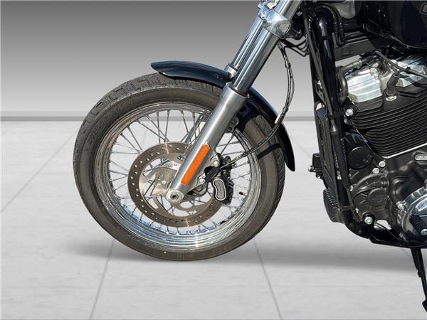 2021 harley-davidson FXST Softail Standard 107