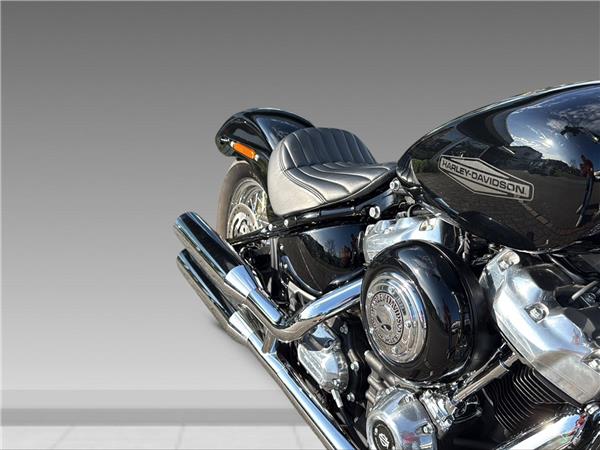 2021 harley-davidson FXST Softail Standard 107