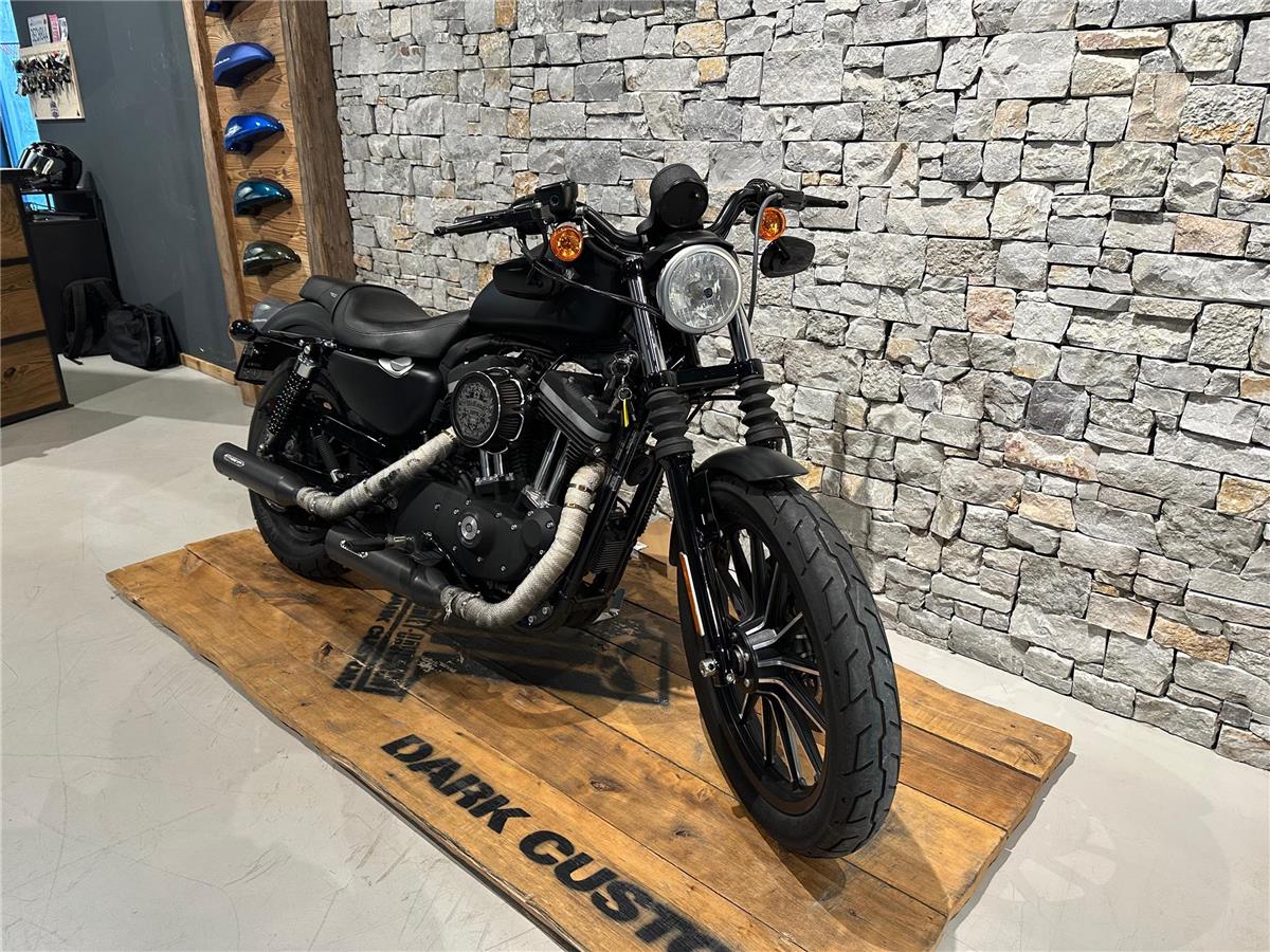 2013 harley-davidson XL 883 N Sportster Iron