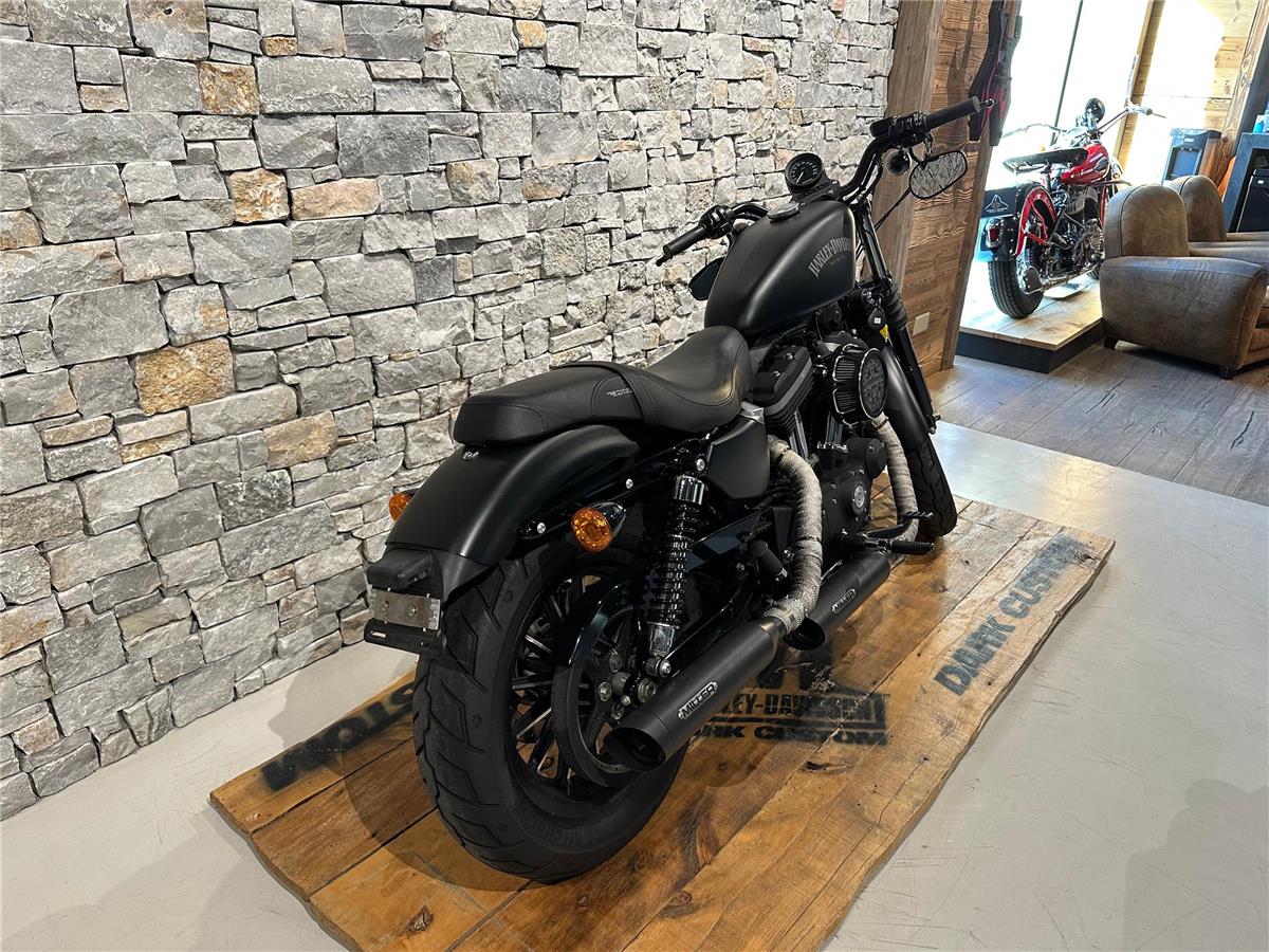 2013 harley-davidson XL 883 N Sportster Iron