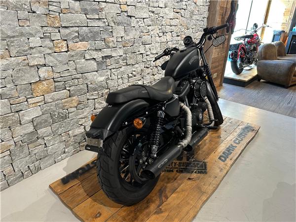 2013 harley-davidson XL 883 N Sportster Iron