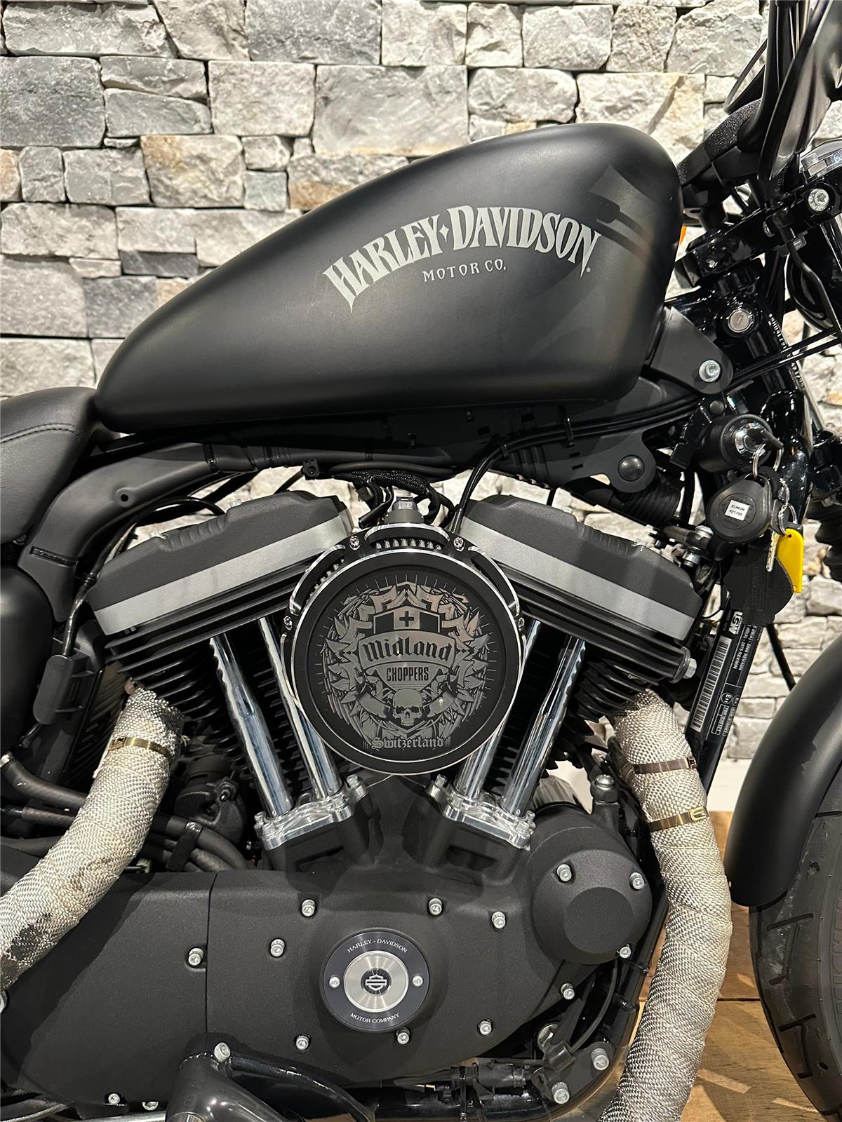 2013 harley-davidson XL 883 N Sportster Iron
