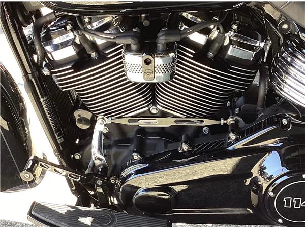 2019 Harley-Davidson Softail