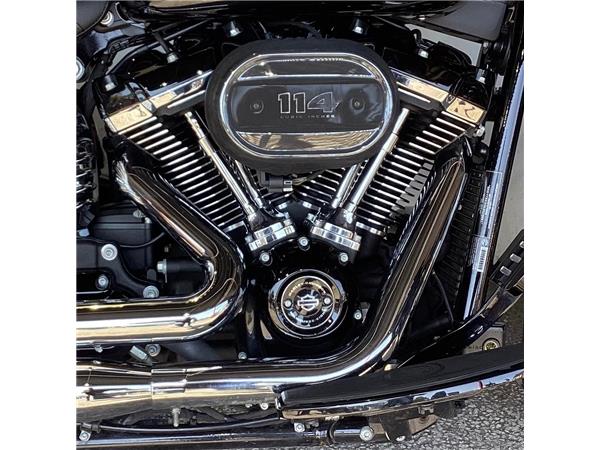 2019 Harley-Davidson Softail