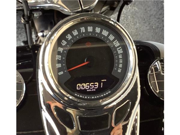 2019 Harley-Davidson Softail