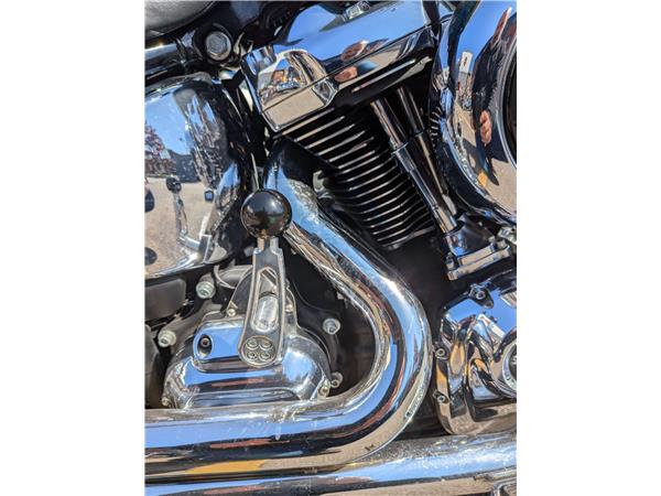 2020 Harley-Davidson Softail