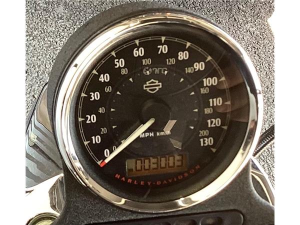 2016 Harley-Davidson Sportster