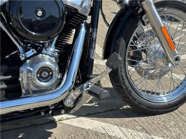 2021 HARLEY-DAVIDSON SOFTAIL STANDARD 