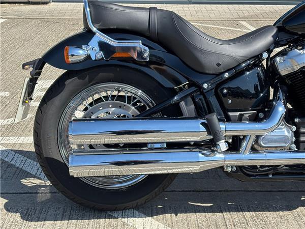 2021 HARLEY-DAVIDSON SOFTAIL STANDARD 
