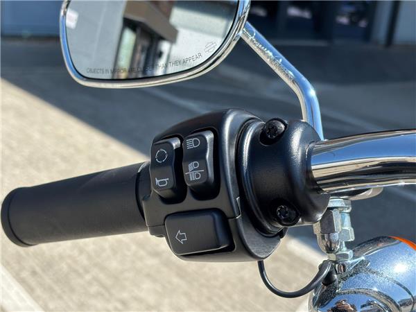 2021 HARLEY-DAVIDSON SOFTAIL STANDARD 